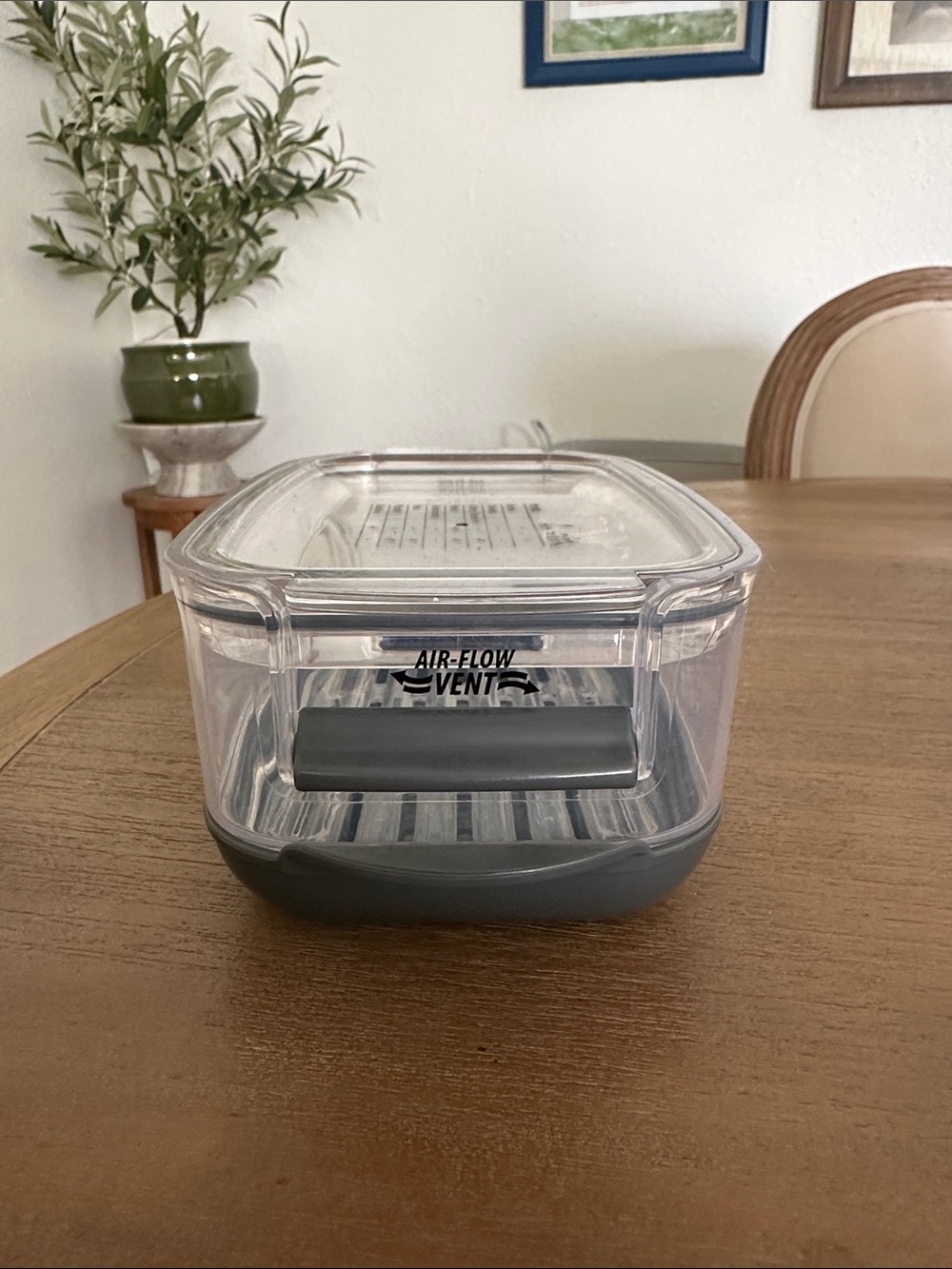 🍓🫐 Produce ProKeeper Stay Fresh Container with Gray Base by Progressive - Picture 5 of 12